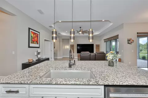 Kitchen - 14269 Skipping Stone Loop, Parrish, FL 34219 photo 4 of 5