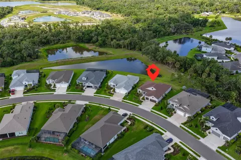 View/Area - 14269 Skipping Stone Loop, Parrish, FL 34219 photo 4 of 14