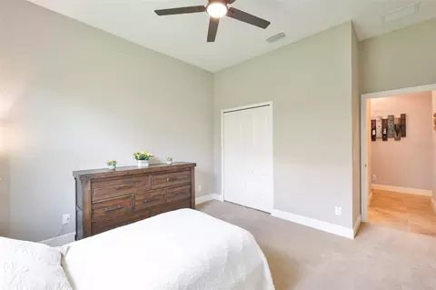 Bedroom - 14269 Skipping Stone Loop, Parrish, FL 34219 photo 8 of 9