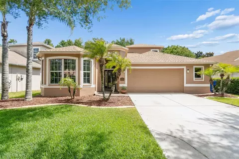 15907 Pond Rush Ct, Land O Lakes, FL 34638