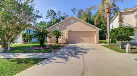 30316 Double Dr, Wesley Chapel, FL 33545