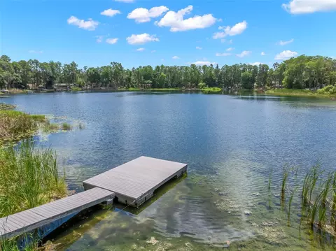 17309 N Dale Mabry Hwy, Lutz, FL 33548