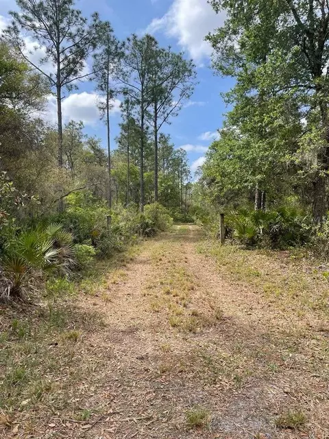 E Hwy 318, Citra, FL 32113
