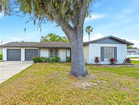 18320 Dolly Brook Ln, Lutz, FL 33549