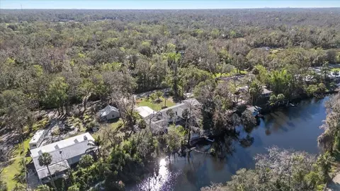 View/Area - 7226 Alafia Ridge Loop, Riverview, FL 33569 photo 7 of 7