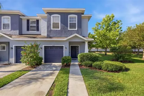 4532 Amberly Oaks Ct, Tampa, FL 33614
