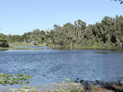11505 N Rome Ave, Tampa, FL 33612