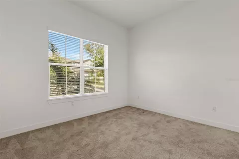 Other - 13817 Sharp Hawk Dr, Riverview, FL 33569 photo 4 of 7