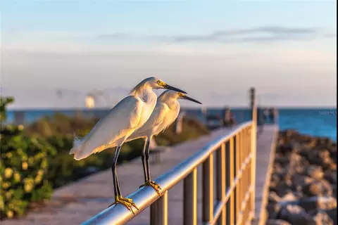 View/Area - 13440 1st St E, Madeira Beach, FL 33708 photo 5 of 6