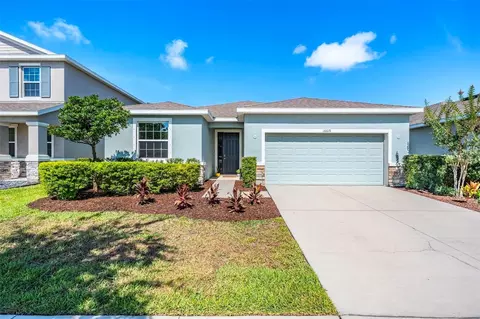 16619 Goose Ribbon Pl, Wimauma, FL 33598