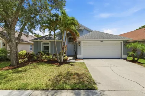 12327 Glenfield Ave, Tampa, FL 33626