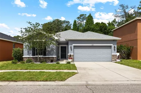 8515 Tidal Breeze Dr, Riverview, FL 33569