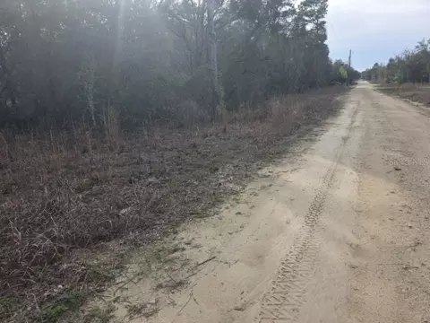 NE 60 Place, Bronson, FL 32621