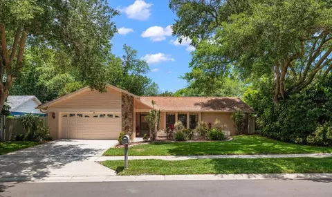 3171 Oak View Dr, Palm Harbor, FL 34684