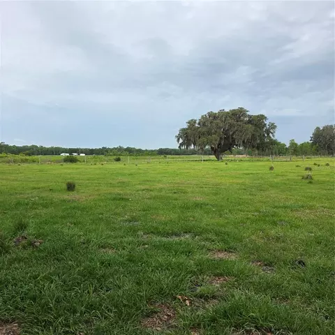Vernon Dairy, Spring Hill, FL 34610 photo 3