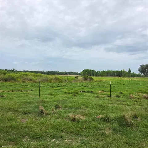 Vernon Dairy, Spring Hill, FL 34610 photo 5