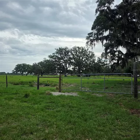 Vernon Dairy, Spring Hill, FL 34610 photo 6