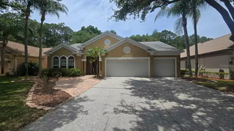 4602 Enright Dr, Palm Harbor, FL 34685
