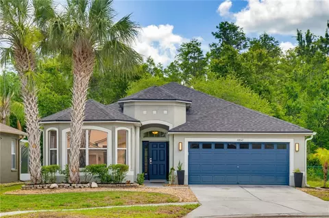 10842 Wild Cotton Ct, Land O Lakes, FL 34638