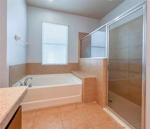 Bath - 6906 Boulder Run Loop, Wesley Chapel, FL 33545 photo 1 of 5