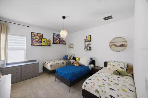 Bedroom - 13816 Sharp Hawk Dr, Riverview, FL 33569 photo 9 of 11