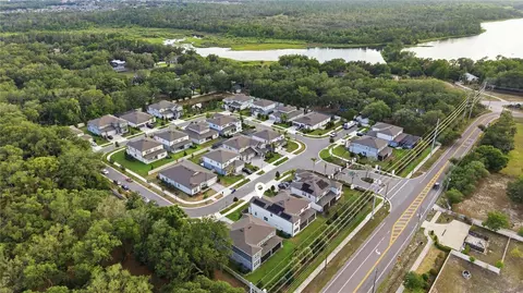 View/Area - 13816 Sharp Hawk Dr, Riverview, FL 33569 photo 2 of 5