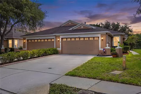19109 White Wing Pl, Tampa, FL 33647