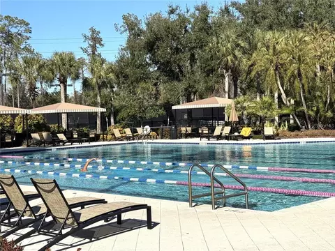 Exterior - 2320 Spring Hollow Loop, Wesley Chapel, FL 33544 photo 7 of 8