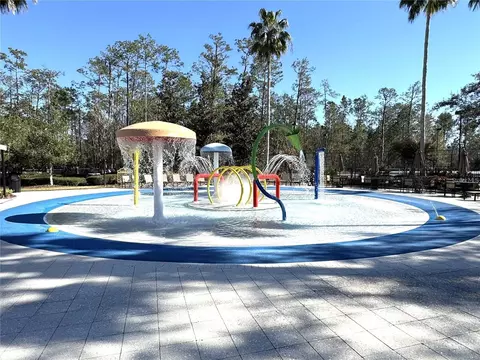 Exterior - 2320 Spring Hollow Loop, Wesley Chapel, FL 33544 photo 8 of 8