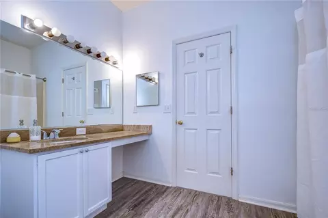 Bath - 2320 Spring Hollow Loop, Wesley Chapel, FL 33544 photo 2 of 3