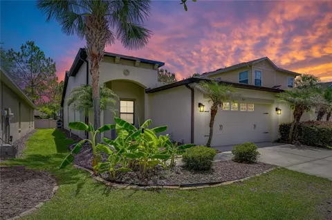 7847 Tuscany Woods Dr, Tampa, FL 33647