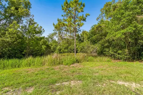 00 Hamrich, Dade City, FL 33525