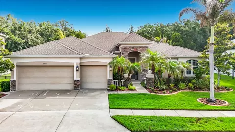 15401 Azra Dr, Odessa, FL 33556