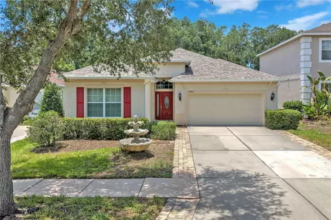 17433 New Cross Cir, Lithia, FL 33547