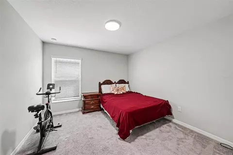 Bedroom - 10829 Crushed Grape Dr, Riverview, FL 33578 photo 2 of 3