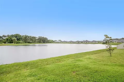 View/Area - 10829 Crushed Grape Dr, Riverview, FL 33578 photo 1 of 3