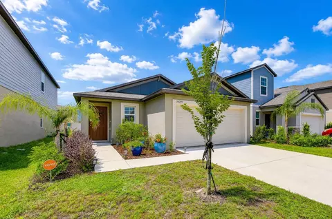 35099 Ackley Trce, Zephyrhills, FL 33541