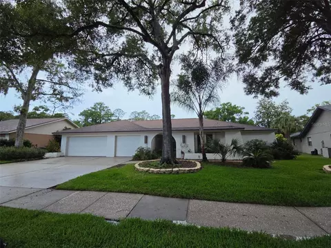 3126 Edgemoor Dr, Palm Harbor, FL 34685