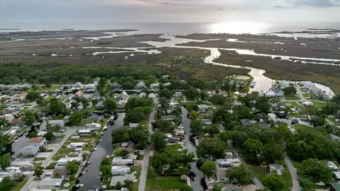 View/Area - 5323 Circle Dr, Weeki Wachee, FL 34607 photo 18 of 30