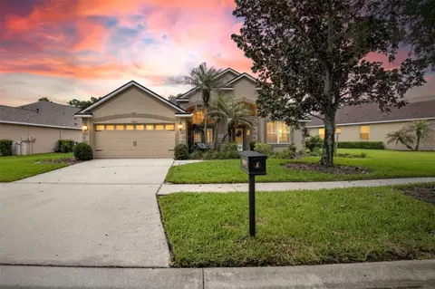 16525 Bridgewalk Dr, Lithia, FL 33547