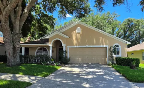 3049 Beaver Pond Trl, Valrico, FL 33596