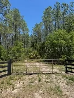 Ne Hwy 353, Old Town, FL 32680