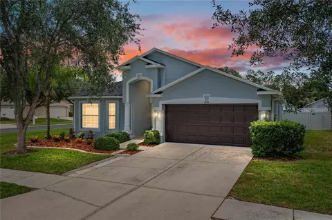 4224 Branchside Ln, Wesley Chapel, FL 33543