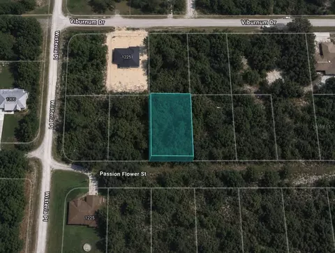 1220 Passion Flower St, Sebring, FL 33875