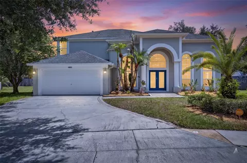 16003 Ridley Pl, Tampa, FL 33647