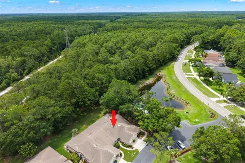 4405 Connery Ct, Palm Harbor, FL 34685