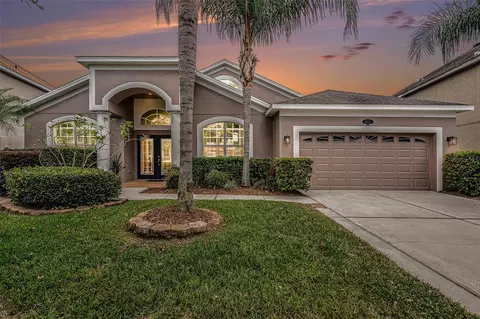 20017 Painting Nature Ln, Tampa, FL 33647