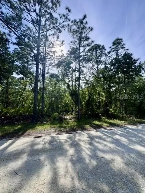 Macek Road, Weeki Wachee, FL 34614