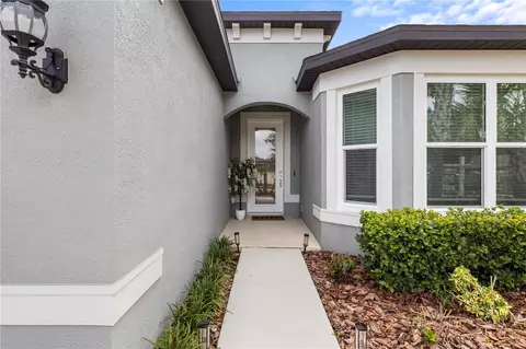783 Little Cloud Pl, Valrico, FL 33594
