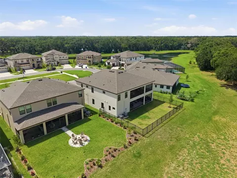 View/Area - 12962 Steed Trace Loop, Lithia, FL 33547 photo 4 of 7